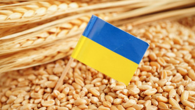 cereale ucrainene