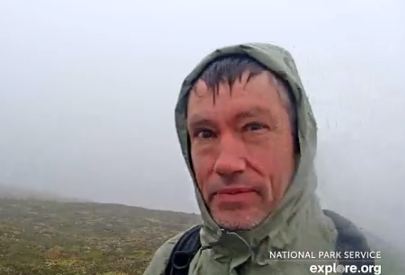 „Ajută-mă”: Fanii care urmăresc live imagini cu urșii din Alaska au salvat viața unui excursionist