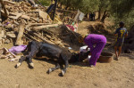 Amidst The Rubble, The Earthquake Victims In Morocco Are Pleading For Urgent Assistance, Moulay Brahim, Ijoukak - 10 Sep 2023