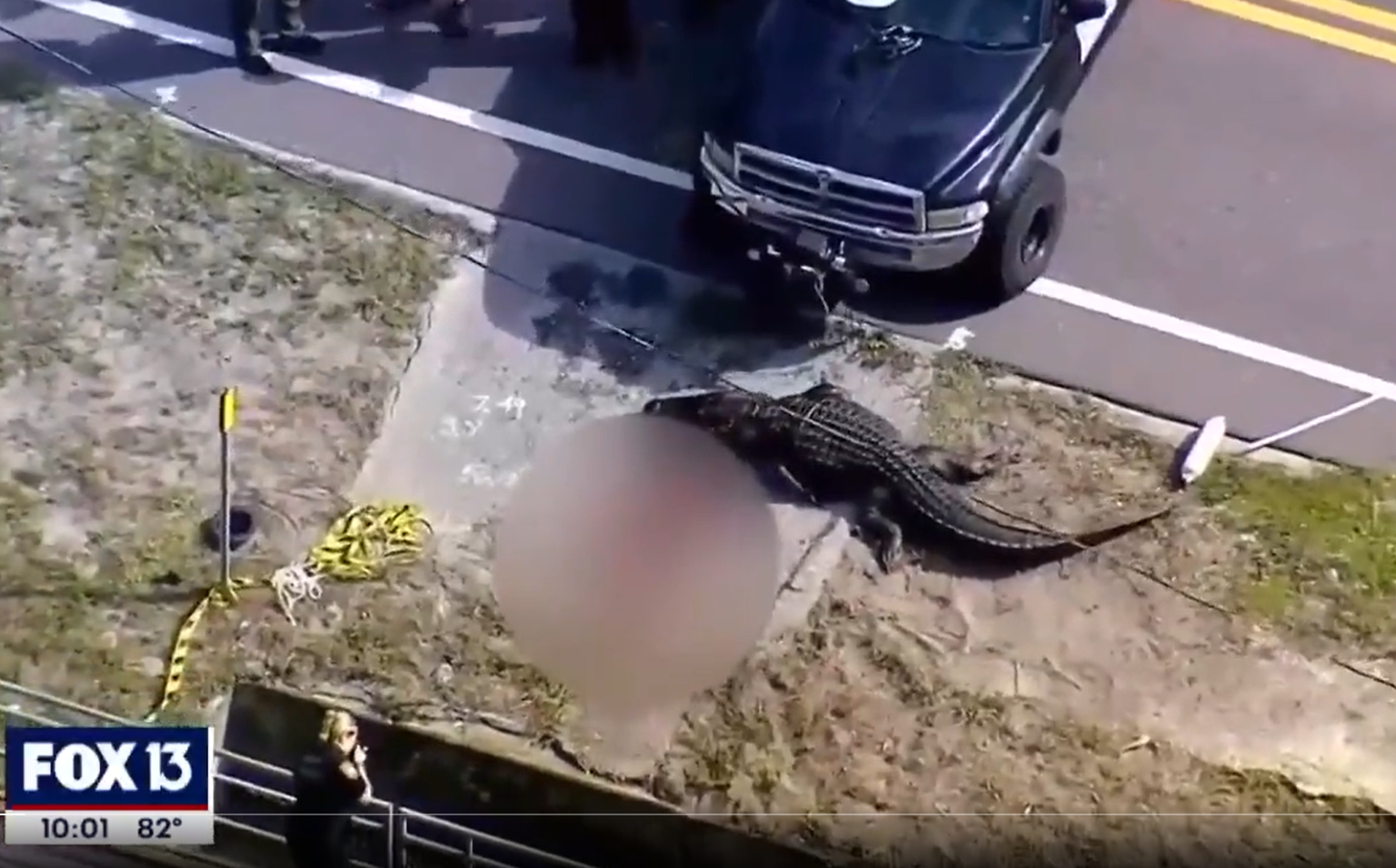 Femeia ale cărei rămăsițe au fost văzute în fălcile unui aligator uriaș din SUA a fost identificată
