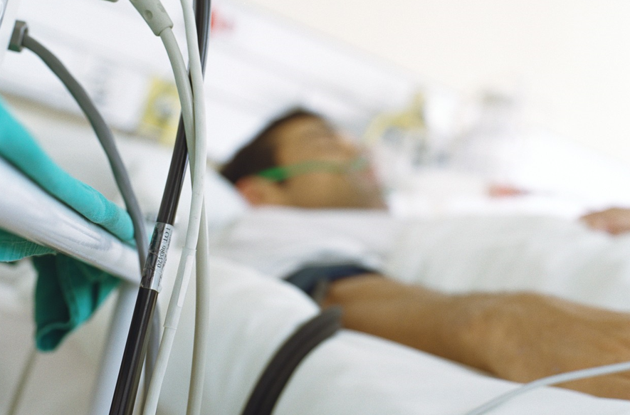 Două persoane au ajuns la spital, în Iași, după ce au fost muşcate de şarpe. Una a rămas internată, având manifestări neurologice