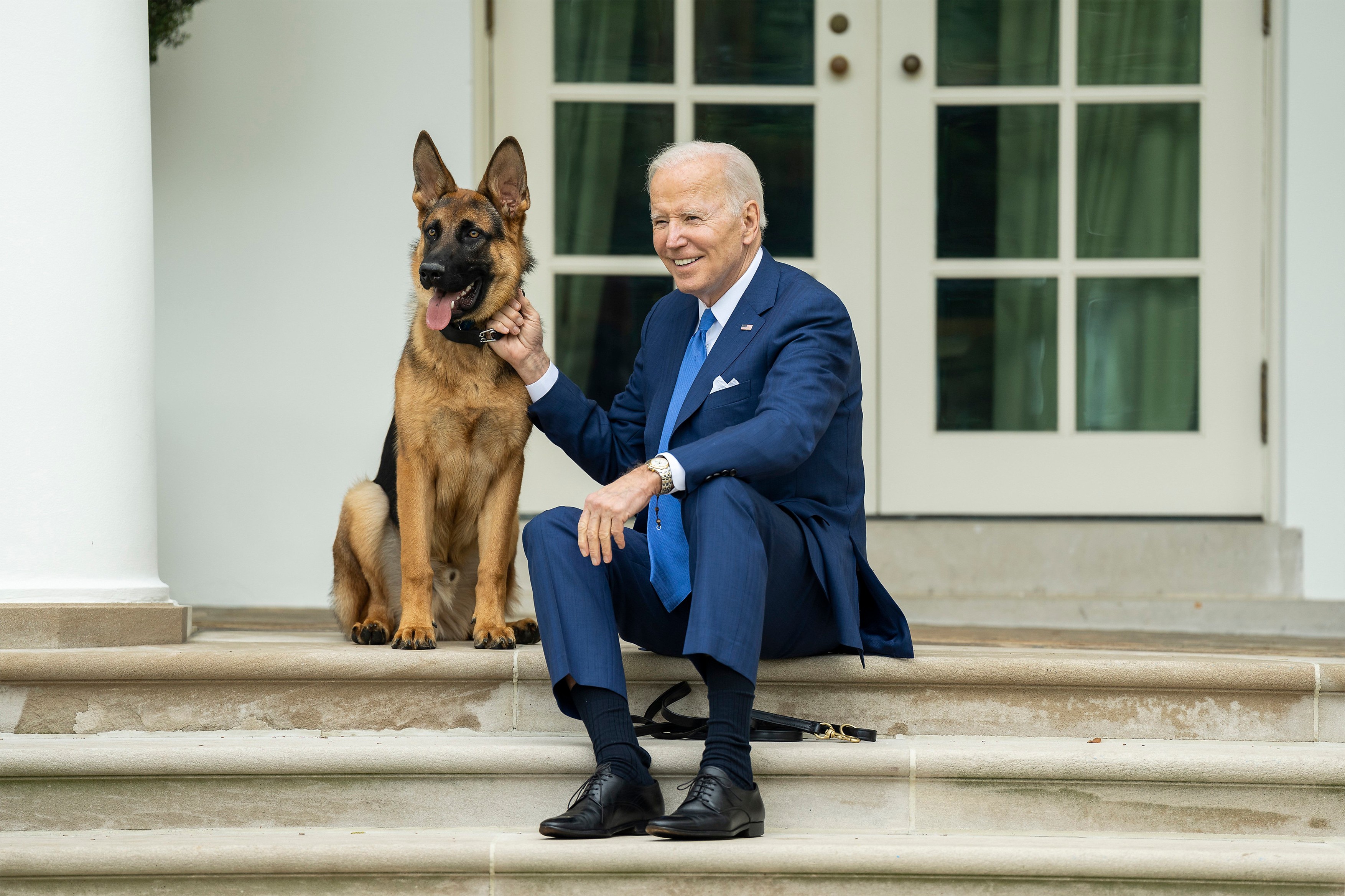 Ciobănescul german al preşedintelui Biden, Commander, a atacat din nou un membru al personalului Secret Service