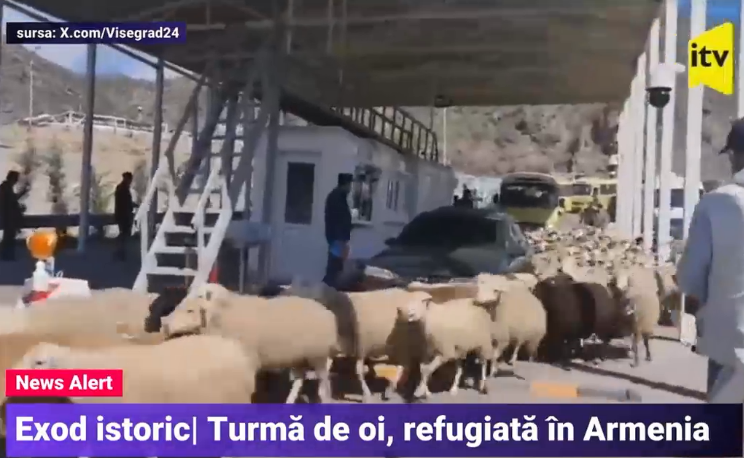 Un cioban a trecut granița spre Armenia cu toată turma de oi. Peste 65.000 de oameni au fugit deja din Nagorno-Karabah