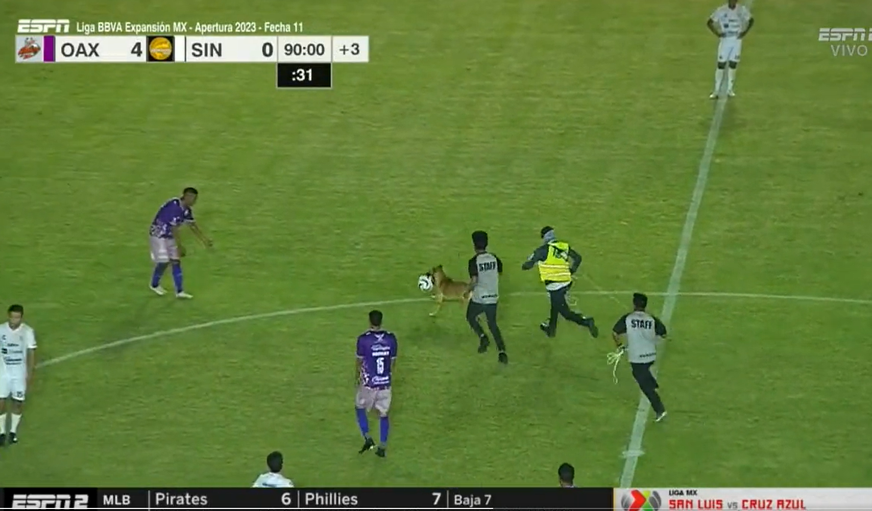 Un câine a intrat pe teren la un meci din Mexic și i-a lăsat pe fotbaliști fără minge