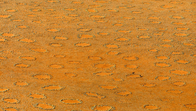 „Cercurile zânelor” din deșertul Namib.