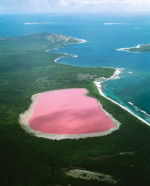 WESTERN AUSTRALIA - Lake Hillier, Middle Island - Archipelago of the Recherche.