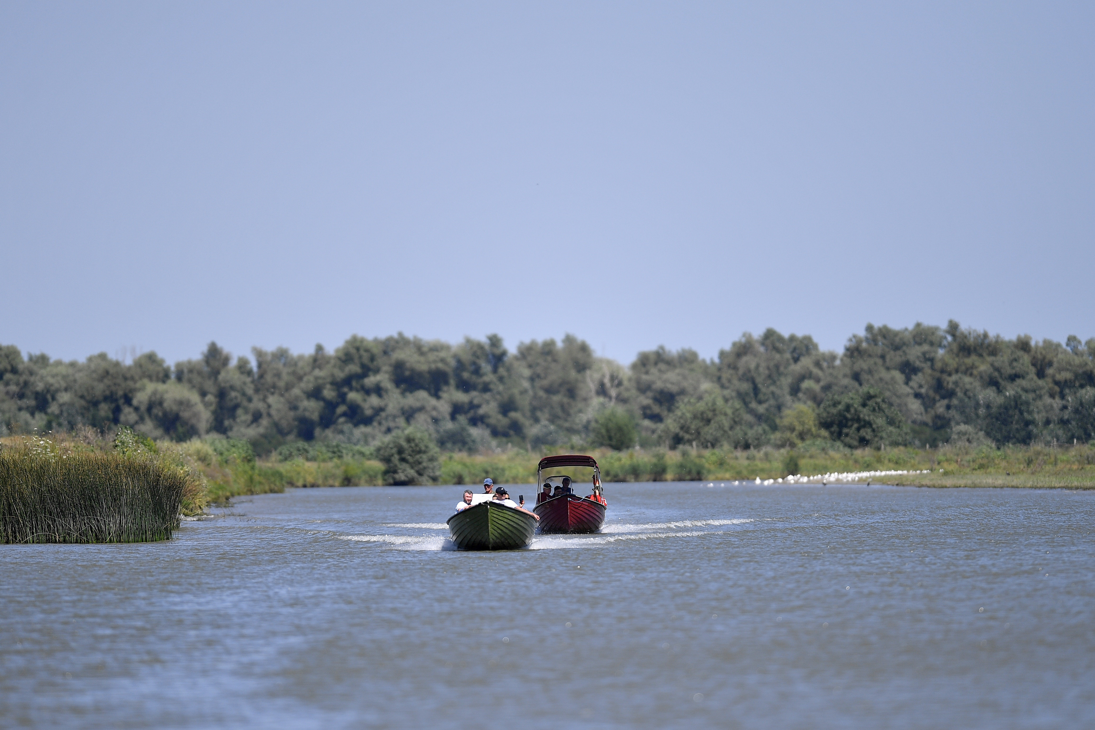 Turistul german căzut în apă după ce două bărci s-au ciocnit în Delta Dunării a fost găsit mort