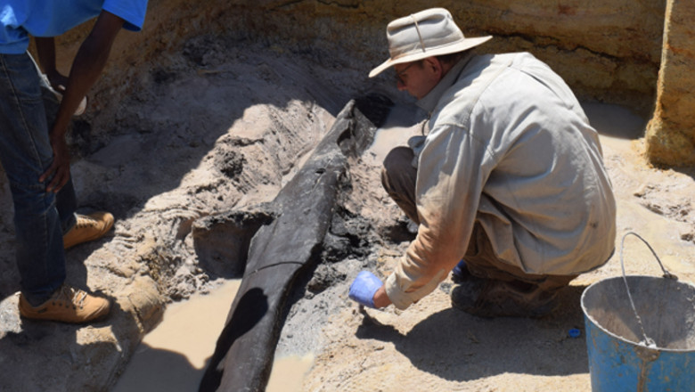 arheologi care decoperteaza din nisip o structura din lemn
