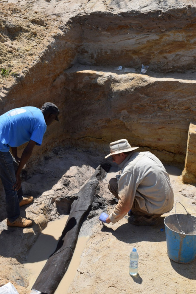 World�s oldest man-made wooden structures - dating back 500,000 years - found in Africa