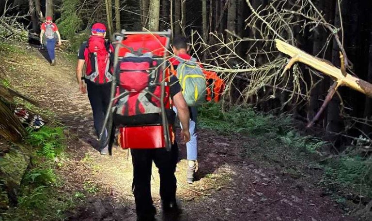 Mai mulți turiști au cerut ajutor după ce au dat nas în nas cu niște bivoli pe munte, în Maramureș. Salvamontiștii îi caută