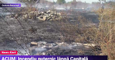 Incendiu puternic lângă Capitală. Ard peste 10.000 de metri pătrați de vegetație uscată