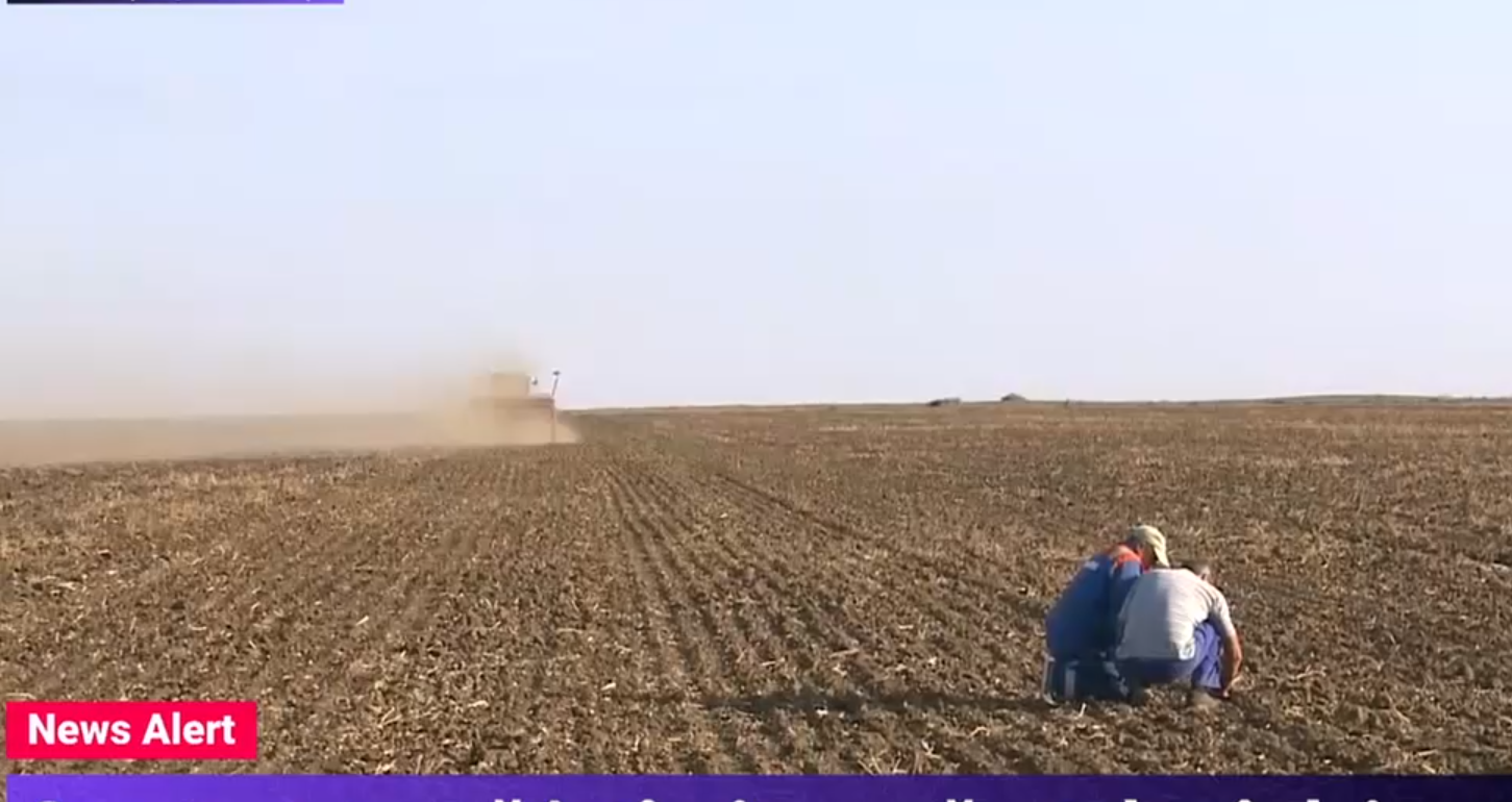 Seceta extremă afectează grav culturile. „Nu a plouat de 2-3 luni. Sămânța o punem în pământ, dar Dumnezeu știe ce s-o întâmpla cu ea”