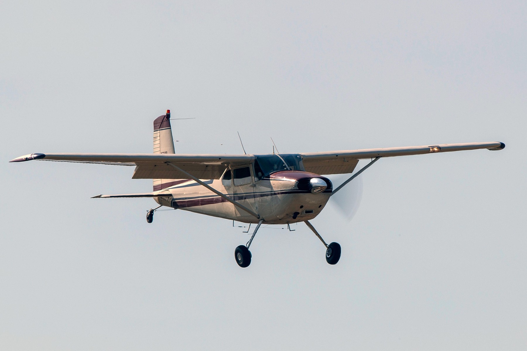 Un bărbat este acuzat că a urmărit o femeie cu avionul timp de 4 ani, aruncând cu roșii spre casa ei. „Ne terorizează. Este un coșmar”