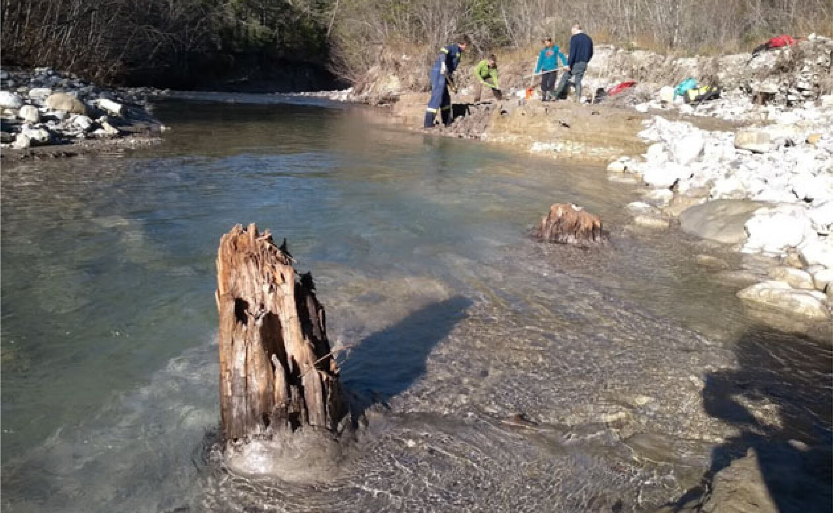 Urmele celei mai mari furtuni solare din istorie, descoperite în fosilele unor arbori de 14.300 de ani