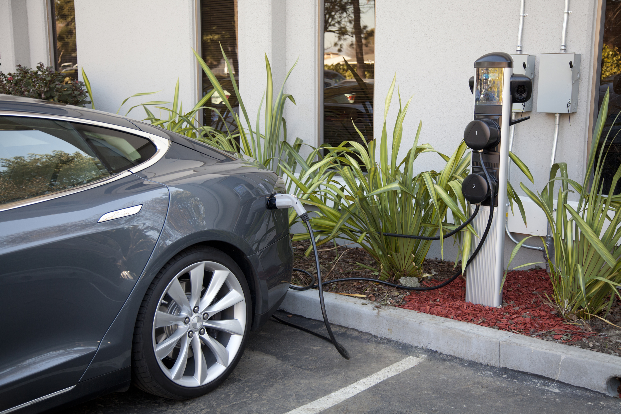 Un proprietar de Tesla spune că „i-a stat inima în loc” când a primit factura de service, după ce bateria a fost afectată de ploaie