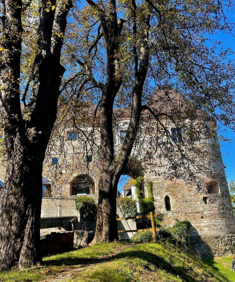 21-Year-Old Heiress Of 900-Year-Old Italian Castle Documents Haunting Experiences On TikTok