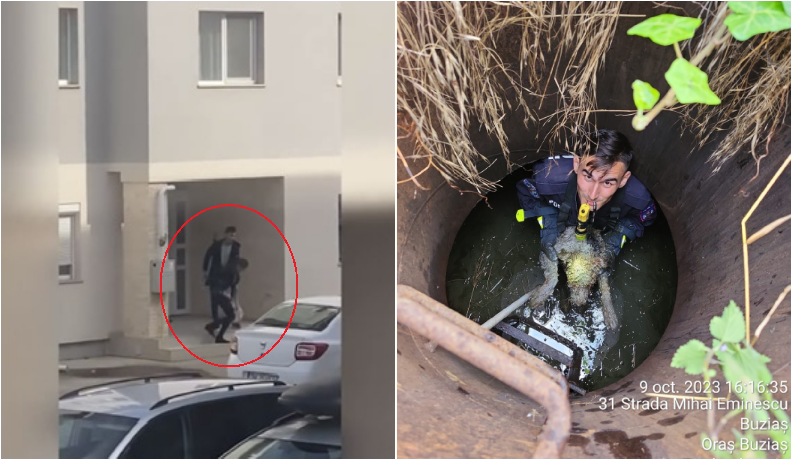 Filmul atacului în care o femeie este înjunghiată de amantul gelos. Bărbatul salvase un câine dintr-un canal, în urmă cu câteva zile