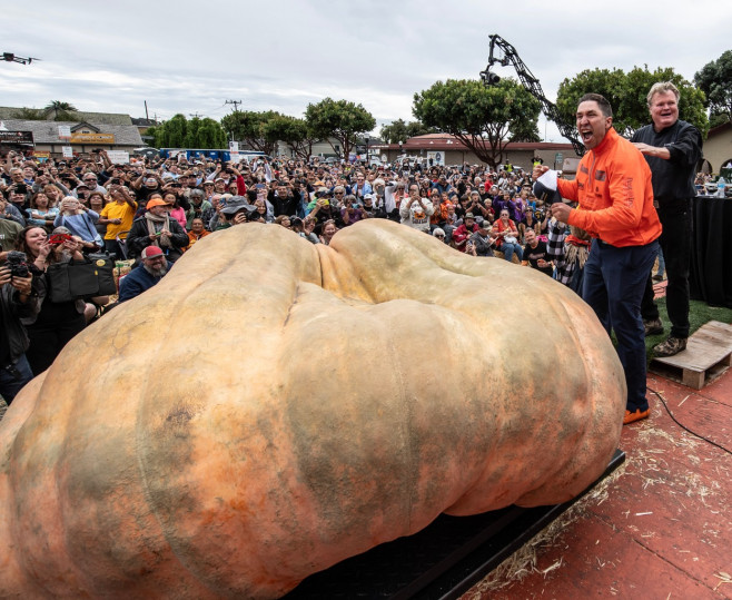 World Championship Pumpkin Weigh-off in Half Moon Bay, California