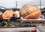 World Championship Pumpkin Weigh-off in Half Moon Bay, California