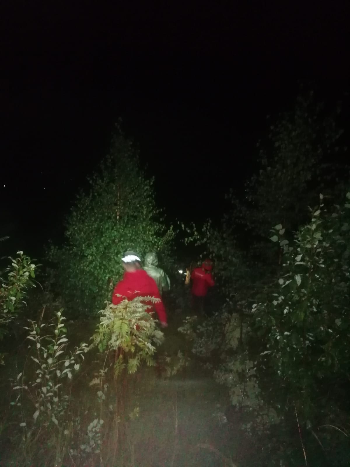 11 turişti irlandezi s-au rătăcit în munţii Rodnei. Sunt căutaţi de către Salvamont Maramureş după ce au cerut ajutor