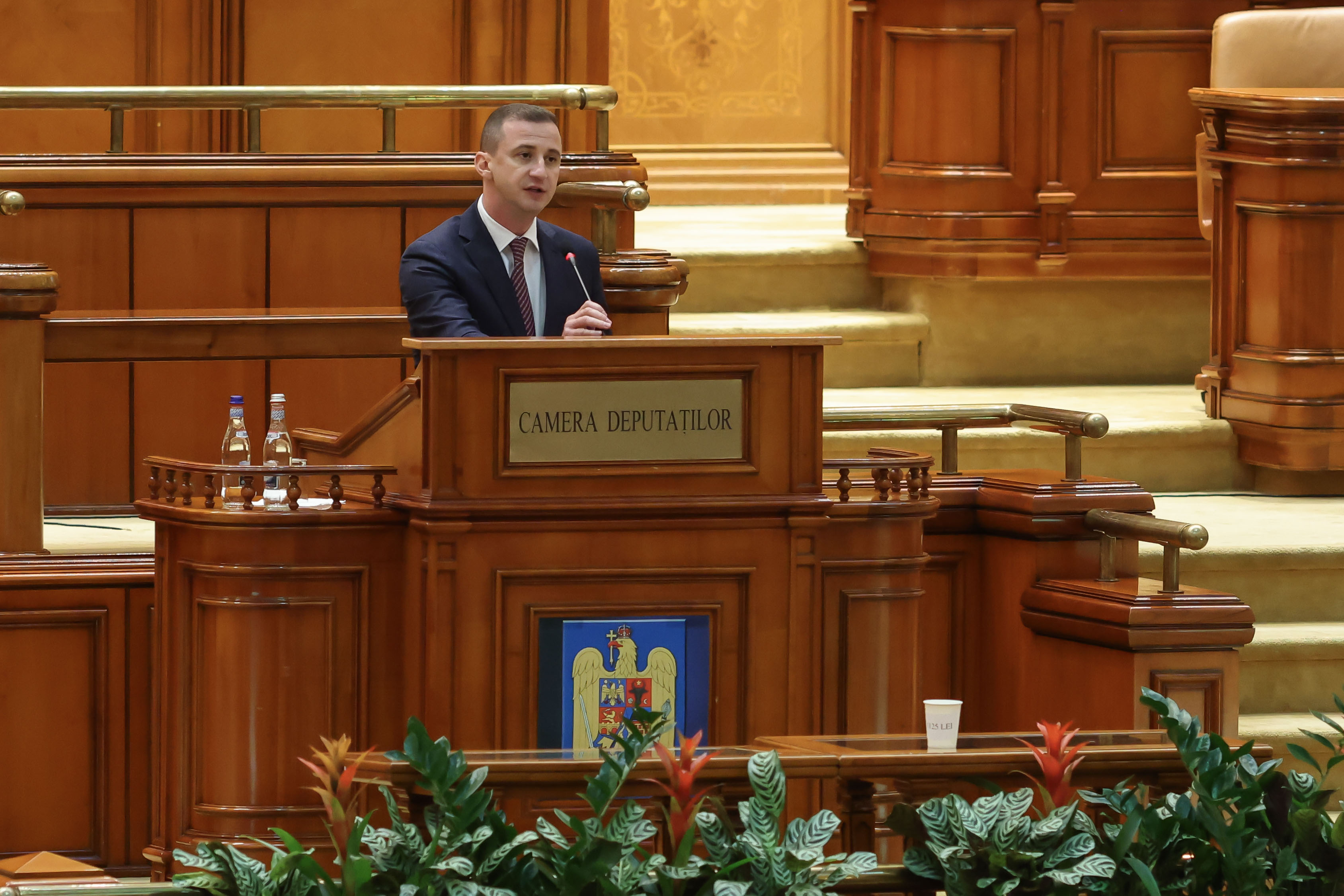 Simonis: Luni vom vota modificările la Legea pensiilor speciale în Camera Deputaților