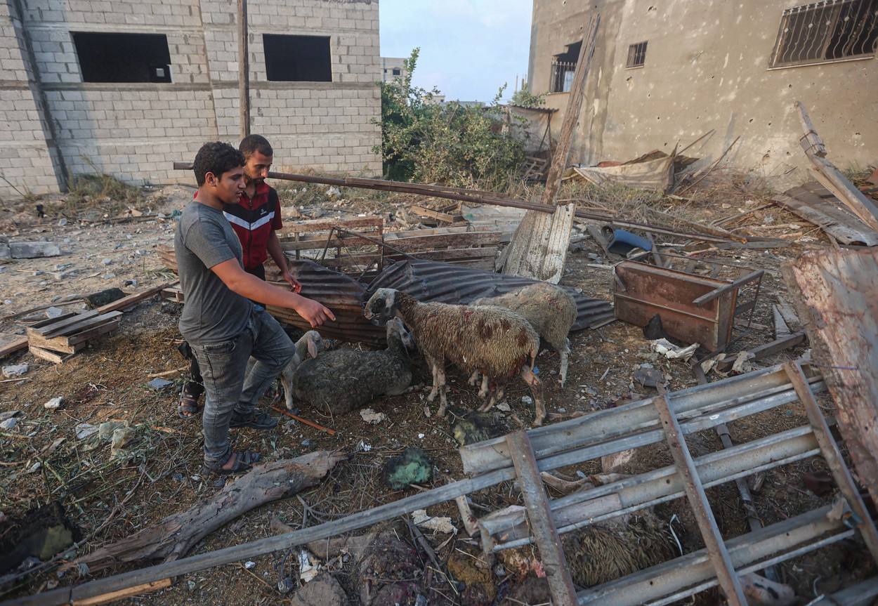 „Se chinuie să găsească mâncare și apă”. Unii locuitori din Gaza se întorc în nord din cauza „situației dezastruoase din sud”