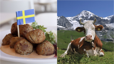 Chiftele suedeze / Vacă din Elveția