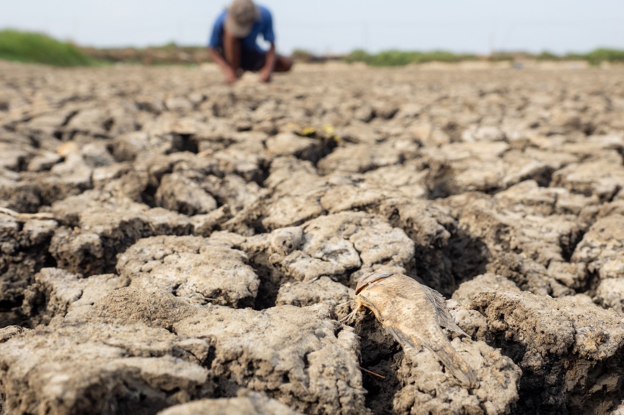 Probabilitatea apariției unui „super El Nino”, în creștere: „Probabil ne vom confrunta cu temperaturi globale record anul viitor”