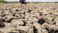 El Nino Phenomenon Causes Drought In Tangerang, Tangerang Regency, Indonesia - 18 Oct 2023