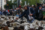 Transhumance Festival in Madrid, Spain -22 Oct 2023