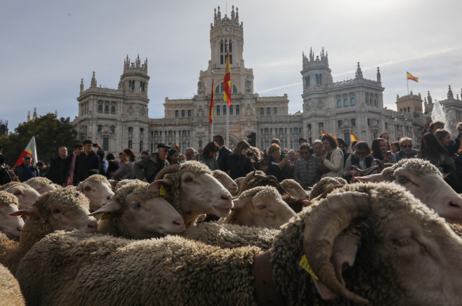 Transhumance Festival in Madrid, Spain -22 Oct 2023