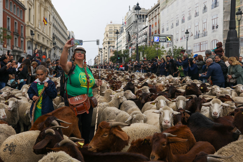 Transhumance Festival in Madrid, Spain -22 Oct 2023