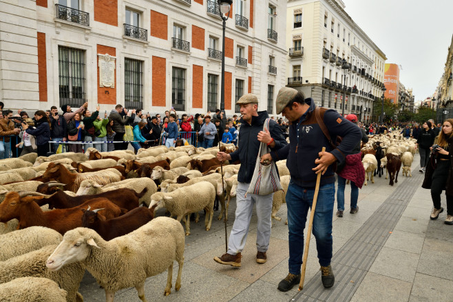 Fiesta De La Transhumancia In Madrid, Spain - 22 Oct 2023