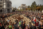 Transhumance 2023 in Madrid