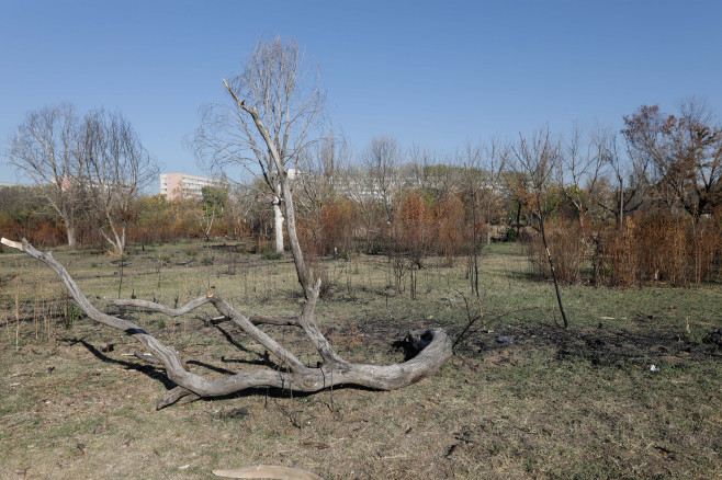 BUCURESTI - PARC IOR - ZONA RETROCEDATA - CONFERINTA PG - 31 OCT