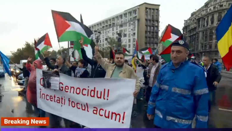 miting pro-palestina