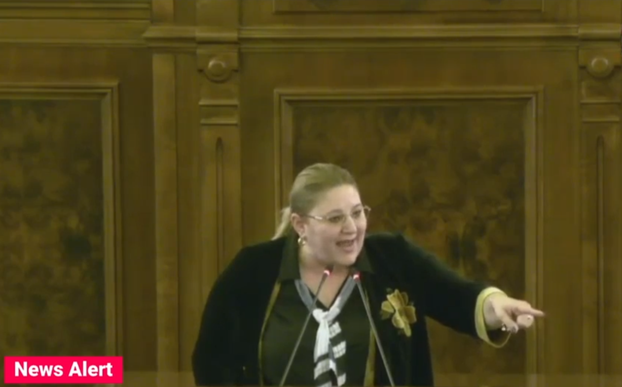 Diana Șoșoacă insultă persoanele homosexuale în Senat. Scandal cu senatorii USR