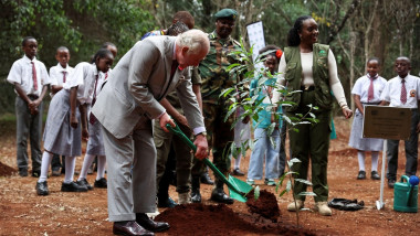 regele charles plantează un copac în kenya