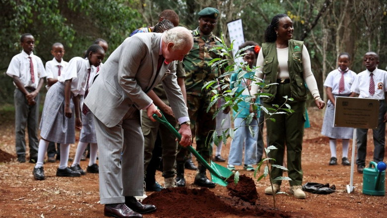 regele charles plantează un copac în kenya