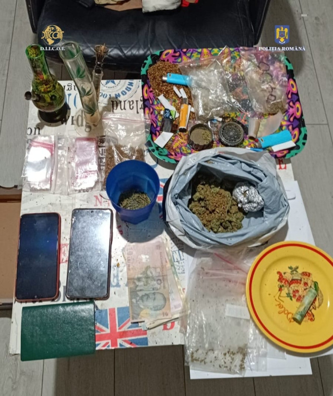 perchezitii timis