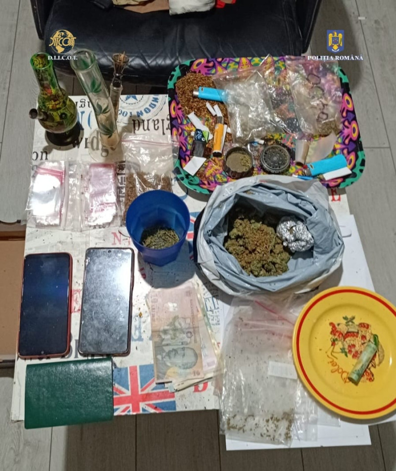 perchezitii timis
