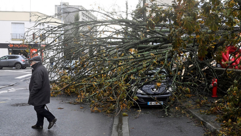 A pedestrian walks past a tree which felt on a car after storm ciaran