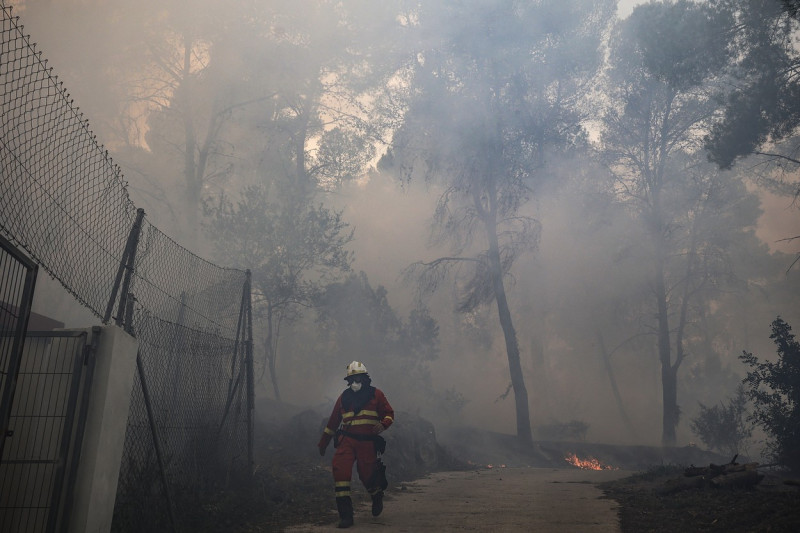 Forest fire in Valencia devastates 2,000 hectares
