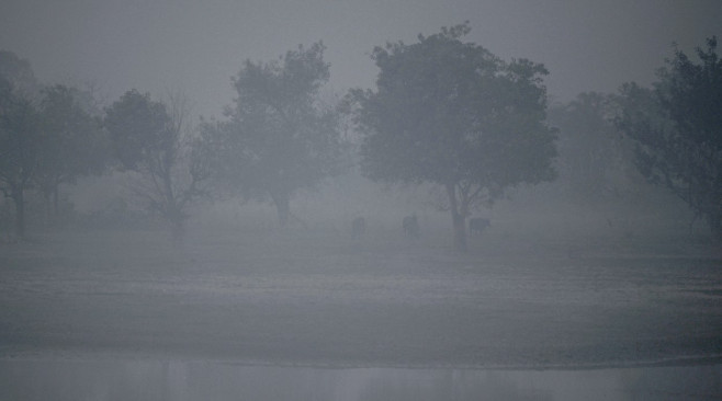 Delhi-NCR Air Pollution, New Delhi, DLI, India - 02 Nov 2023