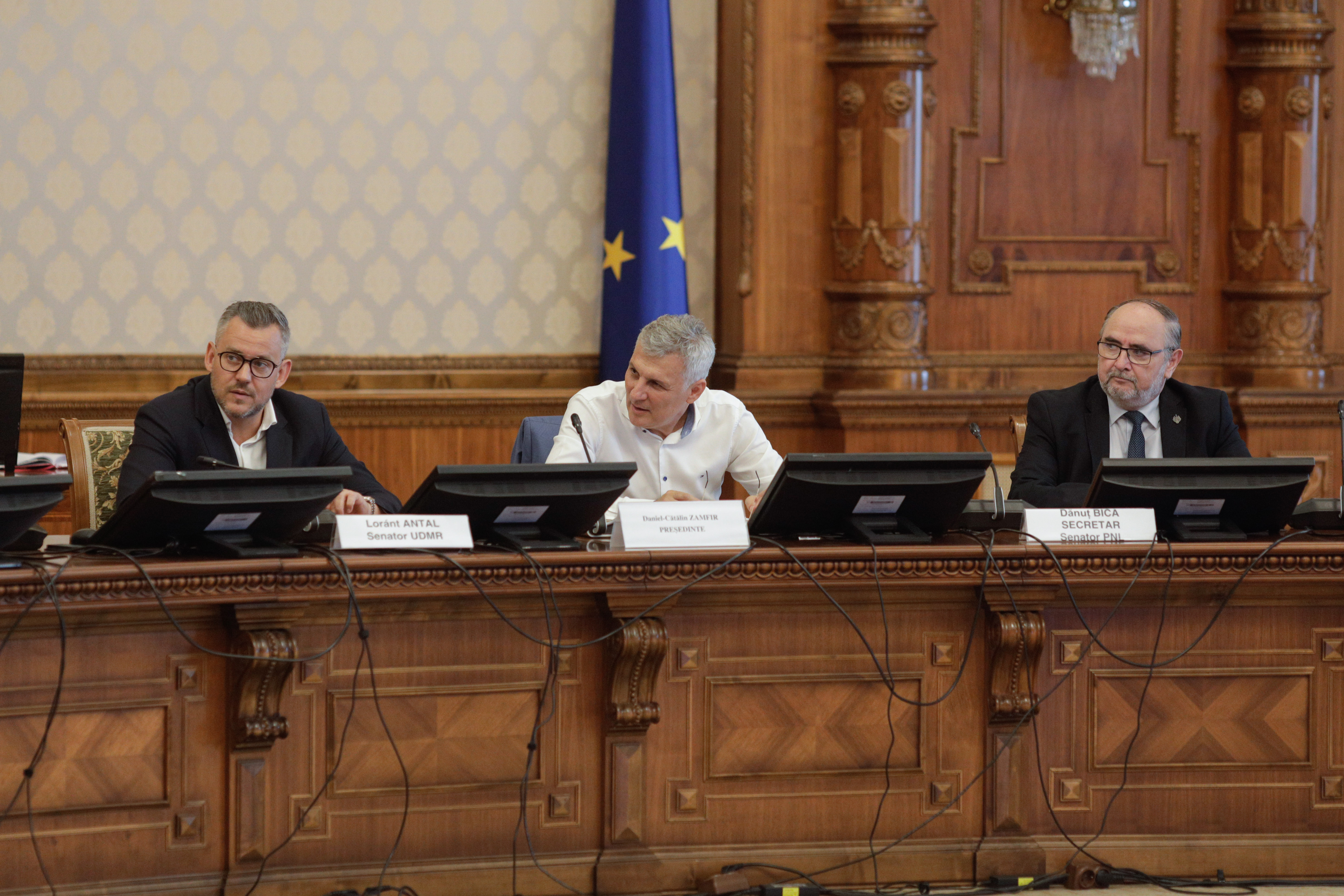 Scandal în Senat pe legea pensiilor. Zamfir (PSD) acuză USR că a dat banii din PNRR pe „penisuri și vagine de pluș”