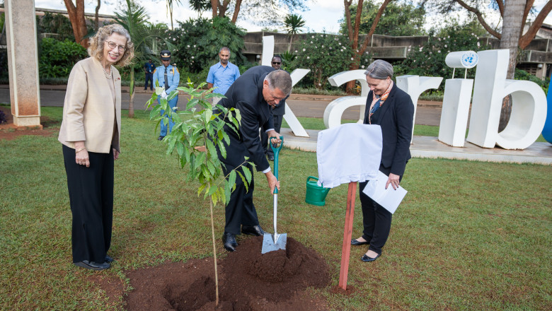 Klaus Iohannis plantează un copac