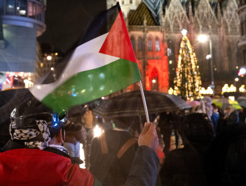 protest-palestinieni-austria