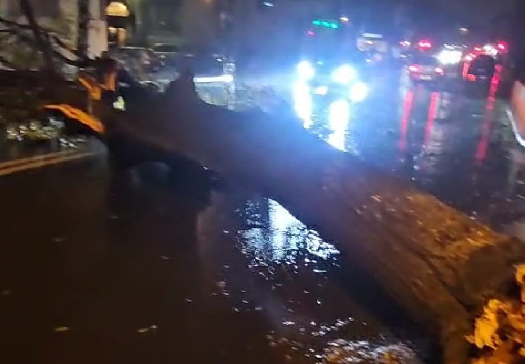 VIDEO Furtunile au făcut ravagii în Constanța și Tulcea. Au fost 700 de apeluri la 112, zeci de mașini avariate, 140 de copaci doborâţi