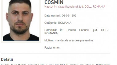 Cosmin Costinel Zuleam.