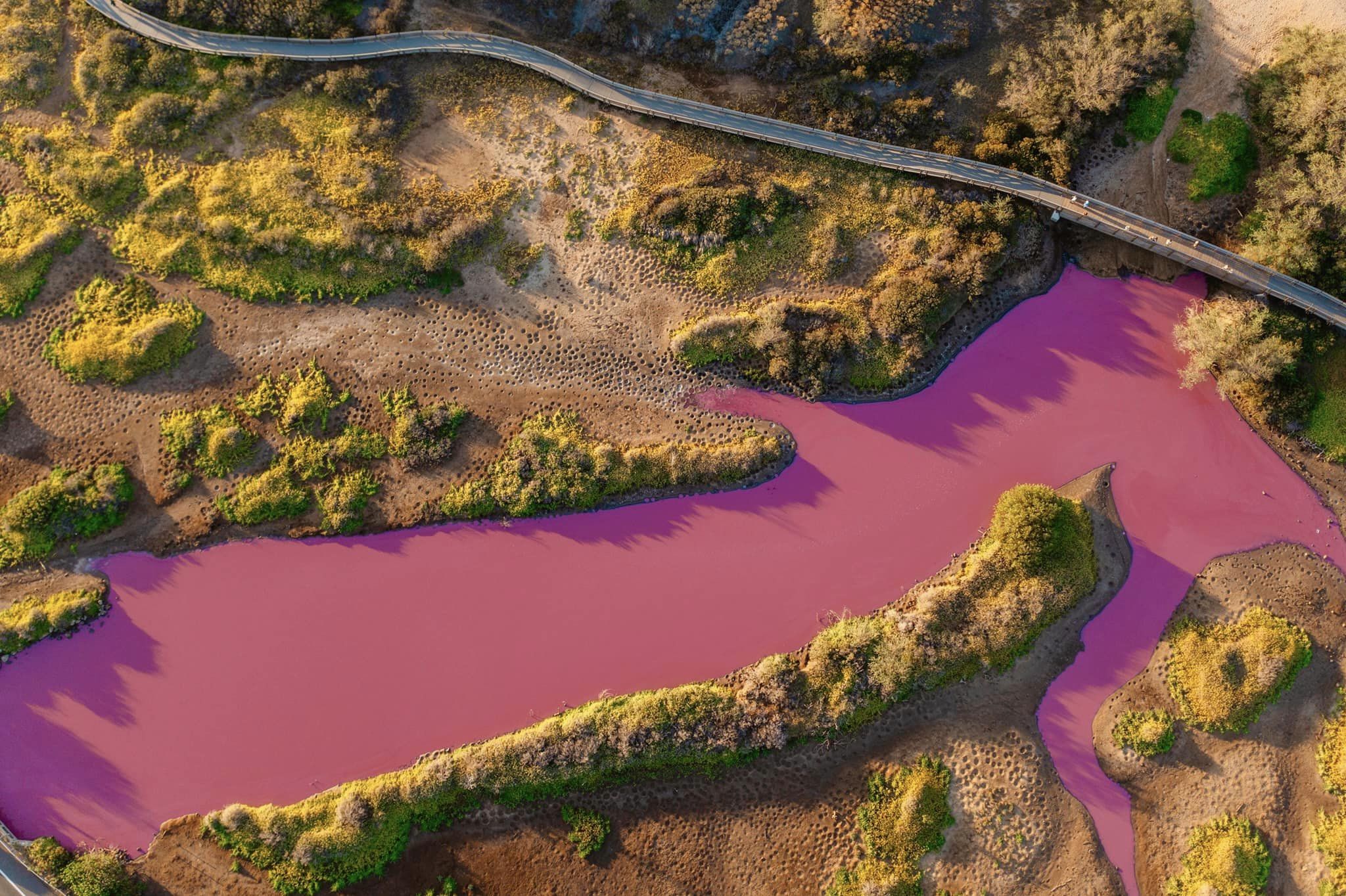 Apa unui lac din Hawaii s-a colorat într-un roz aprins. Fenomenul are o explicație